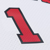 Chicago Bulls Derrick Rose jersey – view 5