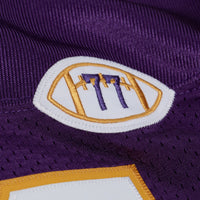 Minnesota Vikings Randy Moss Purple jersey – view 7